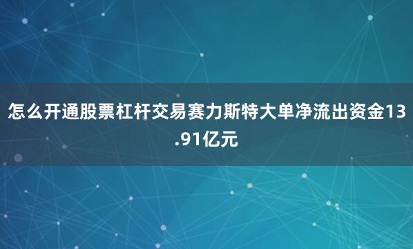 怎么开通股票杠杆交易赛力斯特大单净流出资金13.91亿元