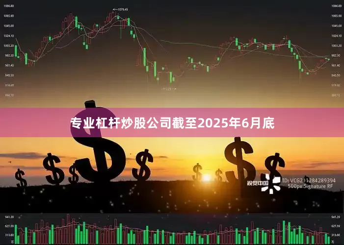 专业杠杆炒股公司截至2025年6月底