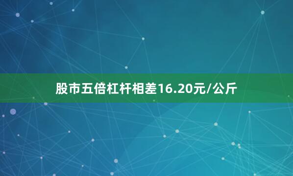 股市五倍杠杆相差16.20元/公斤